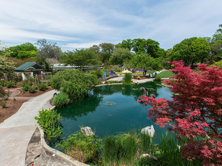 Living like a local: Arboretum's appeal