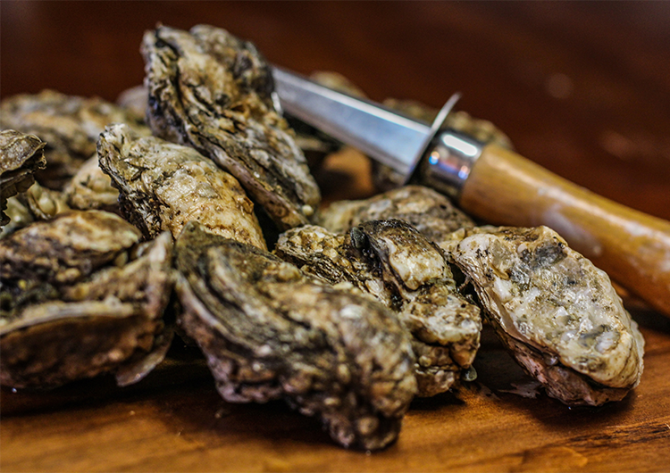 Living like a local: October means oysters